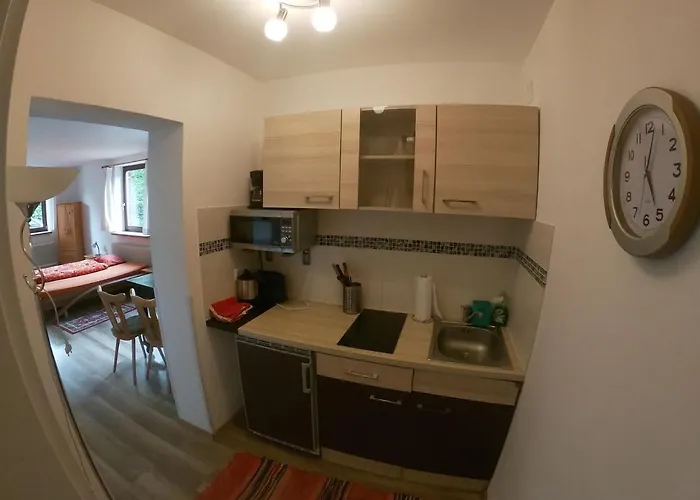 Haus Fink דירה *